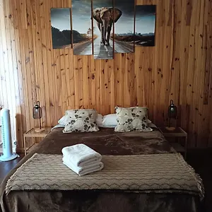 Tenerife Dreams Coffee&bed Hostel